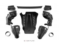 Intake system Eventuri Carbon for BMW X5M / X6M F95/F96 - EVE-X56M-CF-INT Intake system Eventuri Carbon for BMW X5M / X6M F95/F96